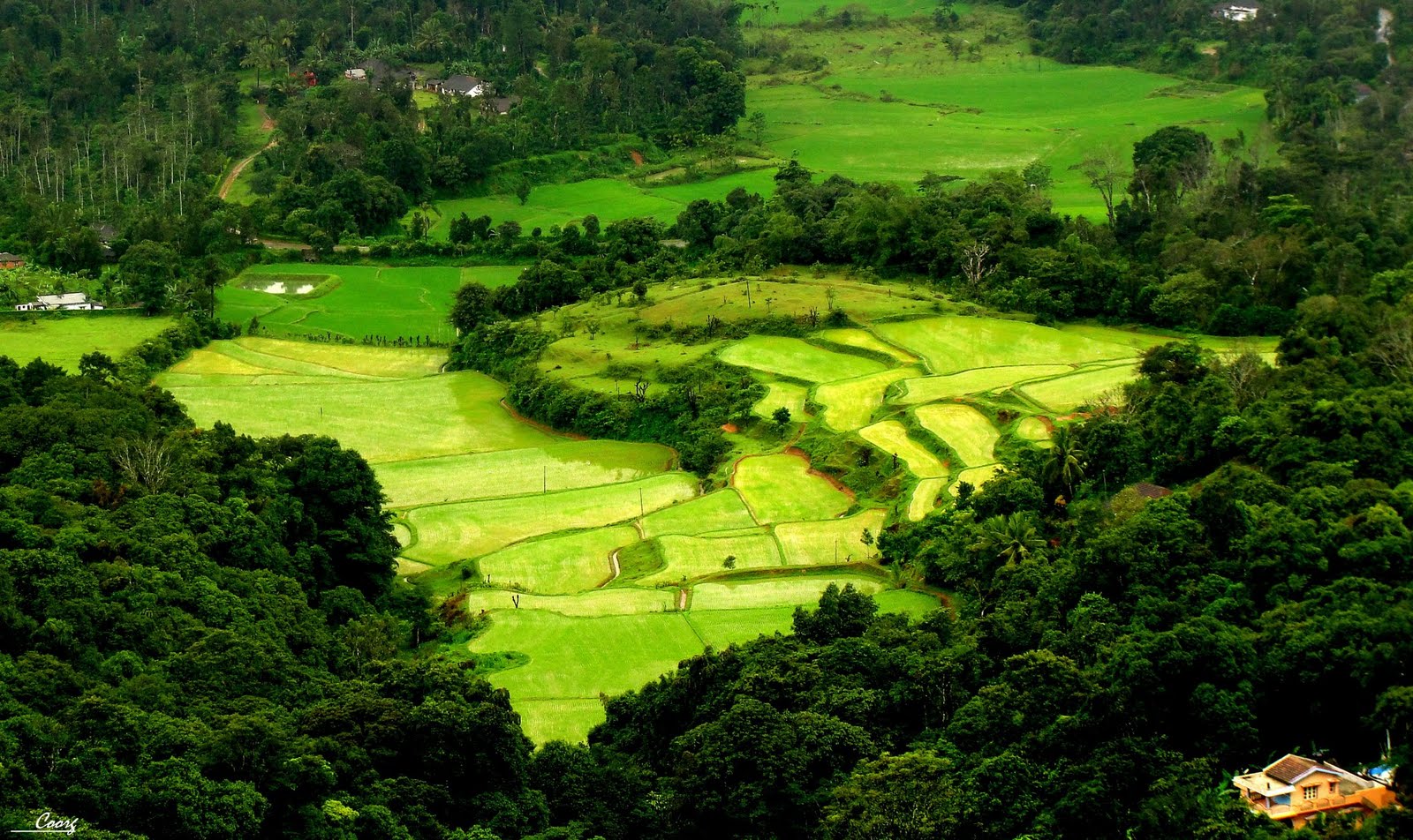 Coorg Honeymoon Packages